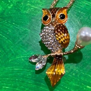 Betsey Johnson Gold and Brown Owl Pendant Necklace and pin